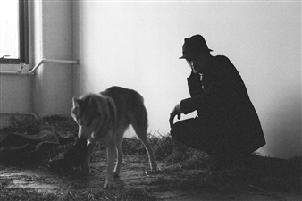 Why Joseph Beuys Spent 3 Days Locked Up with a Wild Coyote