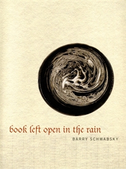 BARRY SCHWABSKY In Conversation with Joan Waltemath