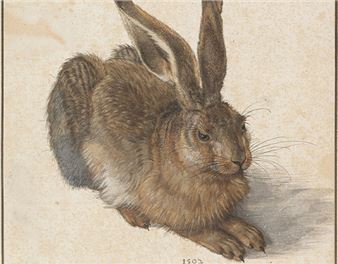 Albrecht Dürer’s Menagerie of Marvels 